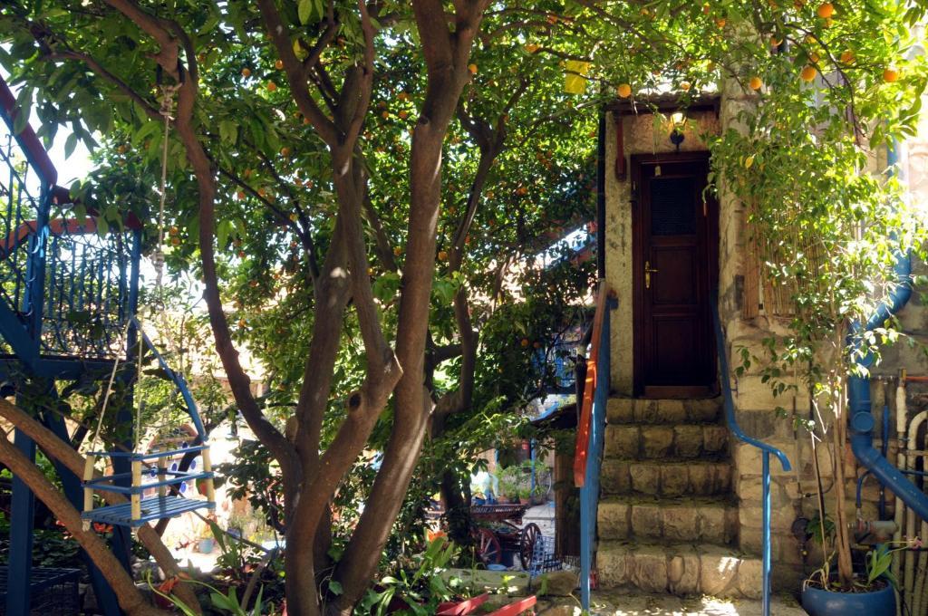 Villa Tehila - By V Club Chain Rosz Pina Zewnętrze zdjęcie